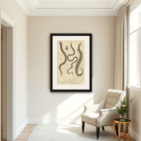 Aquatic Elegance: Brittle Star, Zebra Moray Eel, and Blind Cave Eel, 1845, shown framed in a room
