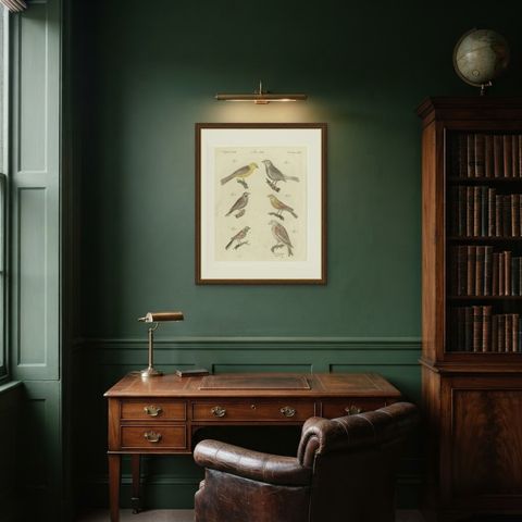 Yellowhammer, Ortolan and Buntings, Antique Bertuch Print, Vienna, circa 1805, shown framed in a room
