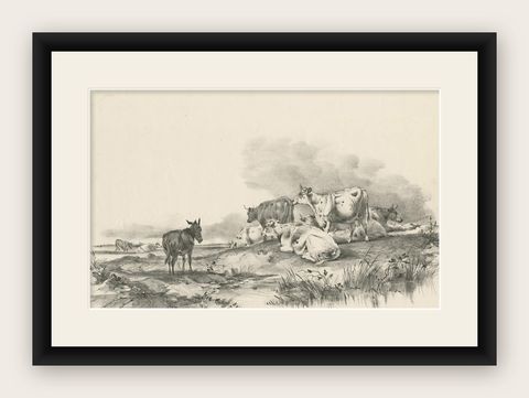 No. 29 Antique Print of Cattle and a Donkey by Cooper, 1839, shown framed