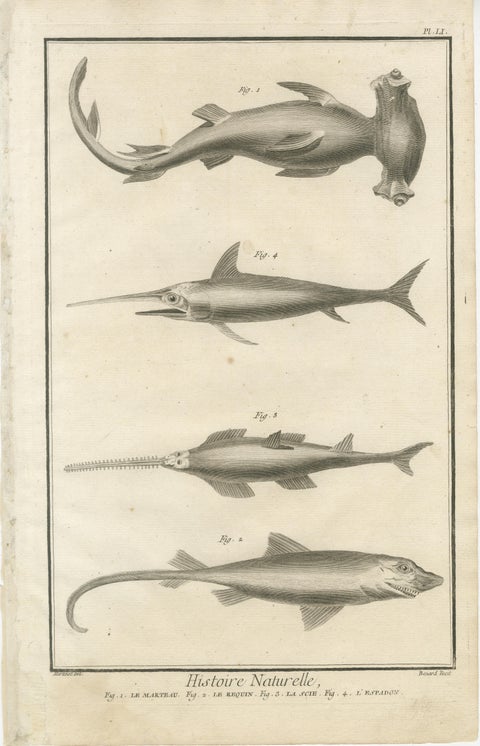 Decorative Set of Three Antique Fish Prints - Ornamental History Prints, ca.1770, view 2