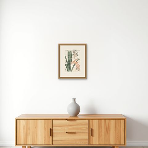 Antique Botany Print of a Billbergia Plant Species by De Vriese '1855', shown framed on a wall