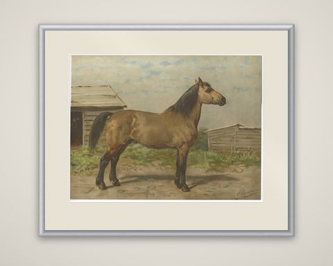 Antique Print of the Canadian Horse by O. Eerelman, 1898, shown framed