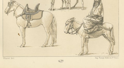 African Transport & Camel Litter, Racinet Afrique Plate, 1888, close-up 3