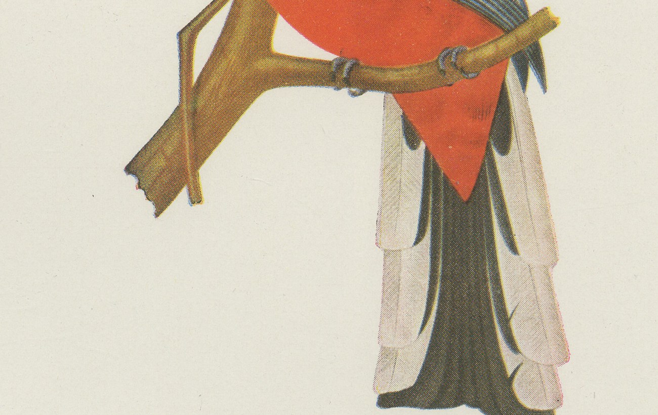 Trogons and Jays, Brazilian Bird Print, Descourtilz, 1944, view 5