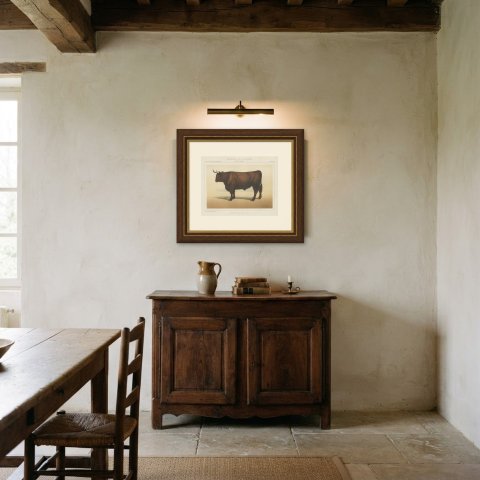 Salers Ox, French Cattle Breed, Antique Chromolithograph by Borie, 1863, shown framed in a room