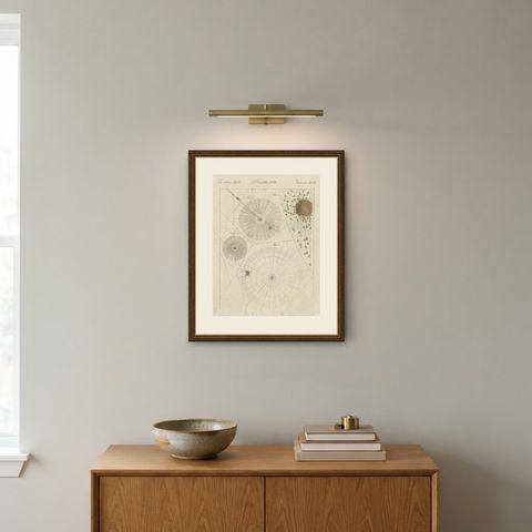 Spider Webs with Hatching Spiderlings, Antique Bertuch Print, circa 1805, shown framed on a wall