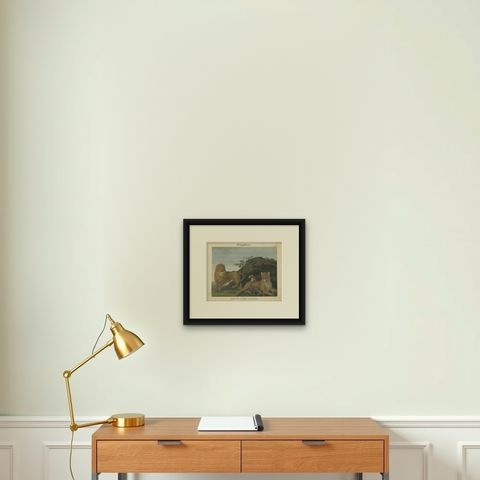Antique Print of a Lion, Lioness and Lion Cubs, shown framed on a wall