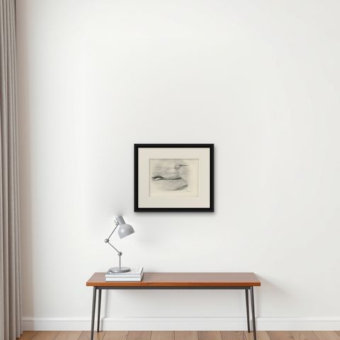Gannet, Antique Bird Print after Lilian Medland, circa 1909, shown framed on a wall