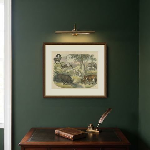 Antique Ibex and Chamois Print with Aurochs, Sheep and Cattle, circa 1890, shown framed on a wall