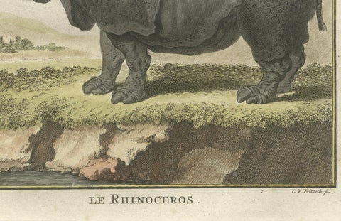 Striking Antique Rhinoceros Engraving, Buffon Hand-Coloured Print Amsterdam 1769, close-up 6