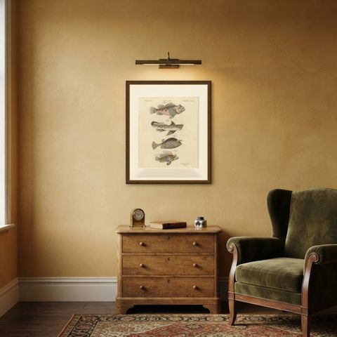 Lionfish, Chimaera, Scorpionfish and Boxfish, Antique Bertuch Print, circa 1805, shown framed in a room