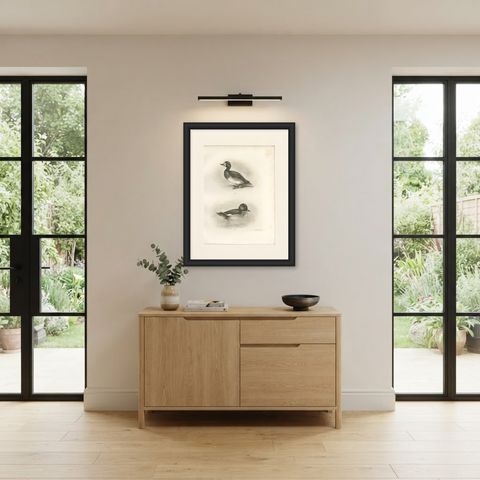 Diving Ducks: Greater Scaup & Tufted Duck, Medland Bird Print, 1909, shown framed in a room
