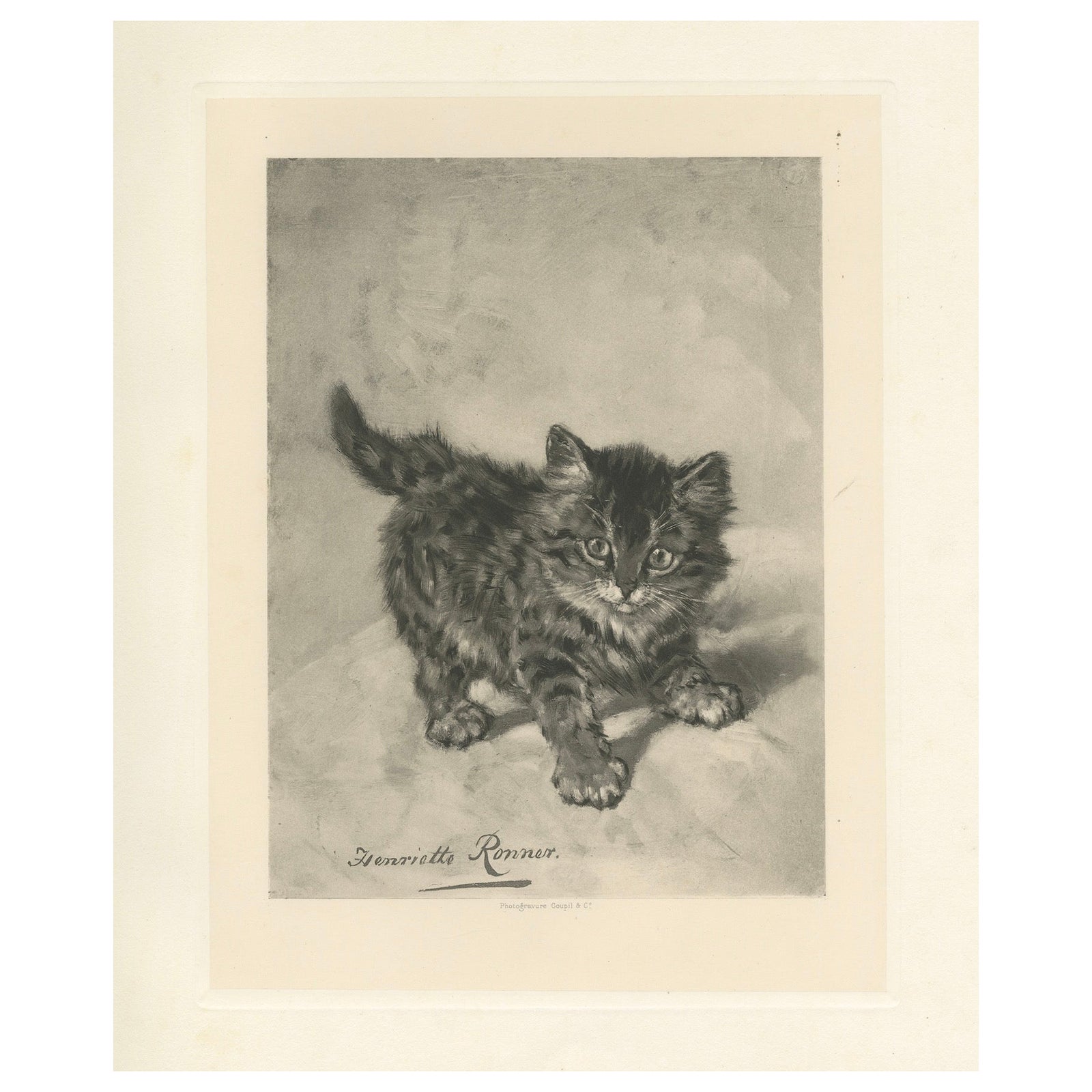 Rascal - A Playful Antique Cat Print by Henriette Ronner, 1894