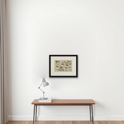 The Wonders of Nature: Exquisite 18th Century Engravings of Reptiles and Insects, shown framed on a wall