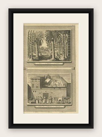 Antique Print of Palm Trees and the Factory in Suratte in India, 1719, shown framed