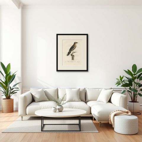 An 1807 Large Hand-Finished Ornithological Study of a Northern Shrike, shown framed in a room