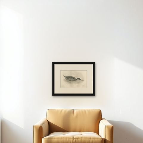 Duck Feeding, Antique Bird Print after Lilian Medland, circa 1909, shown framed on a wall