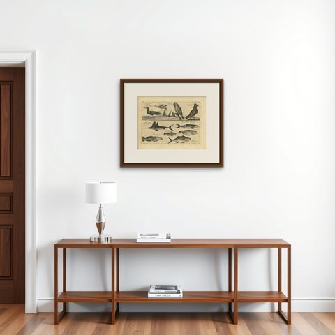 Antique Print of Dogs of the Goldcoast and Guinea Gulf Birds and Fish, 1744, shown framed on a wall