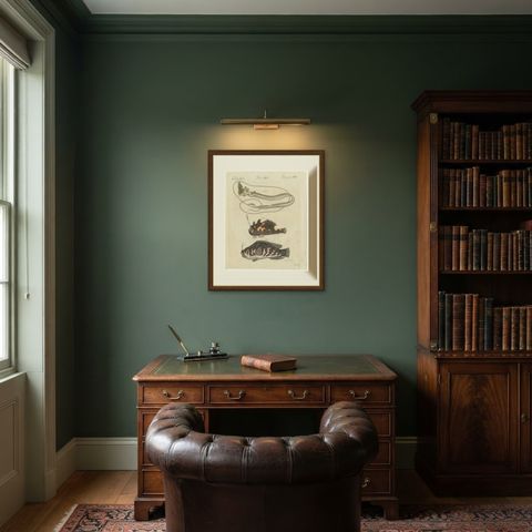 Frogfish with Lure and a Ribbon Fish, Antique Bertuch Print, circa 1810, shown framed in a room