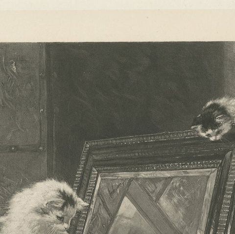 "Curiosity Reflected" - Cats and Kittens by Henriette Ronner (1894), close-up 6