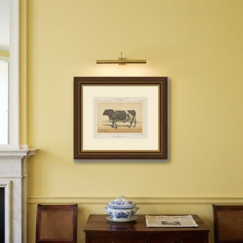 Durham Shorthorn Bull, British Cattle Chromolithograph by Olivier de Penne, 1863, shown framed on a wall
