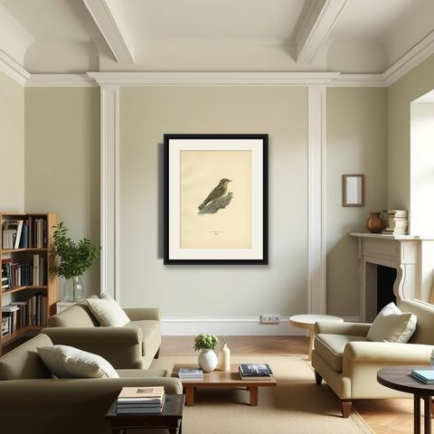Antique Bird Print of the Eurasian Wryneck, 1927, shown framed in a room