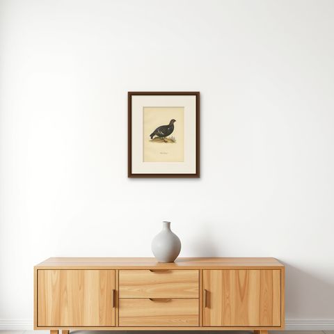 Antique Bird Print of the Black Grouse 'Male' by Von Wright, 1929, shown framed on a wall