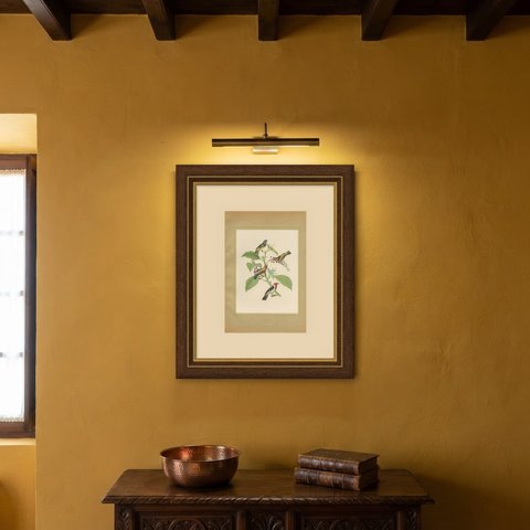 Tanagers and Woodcreepers, Brazilian Bird Print, Descourtilz, 1944, shown framed on a wall