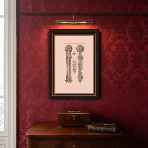 Arteries of the Brain and Spinal Cord, Hirschfeld Double Folding Plate, 1866, shown framed on a wall