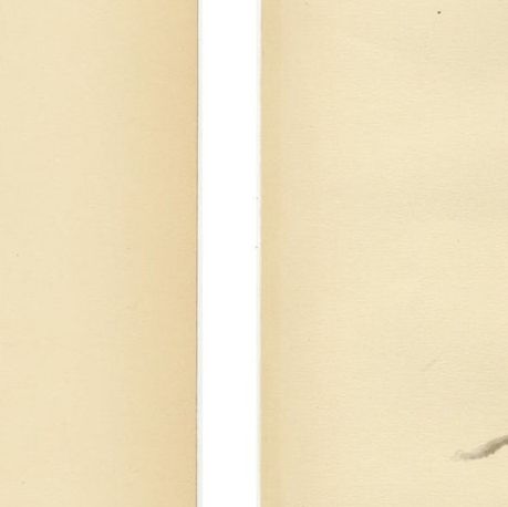 Nordic Birds of Prey Pair - Lithographs, Scandinavian Natural History 1929, close-up 2