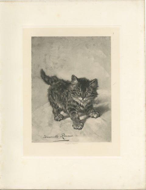 Rascal - A Playful Antique Cat Print by Henriette Ronner, 1894, view 2