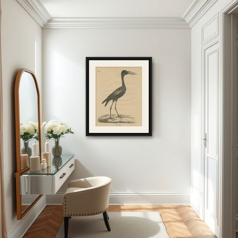 Antique Bird Print of the African Openbill by Goldfuss, circa 1824, shown framed in a room