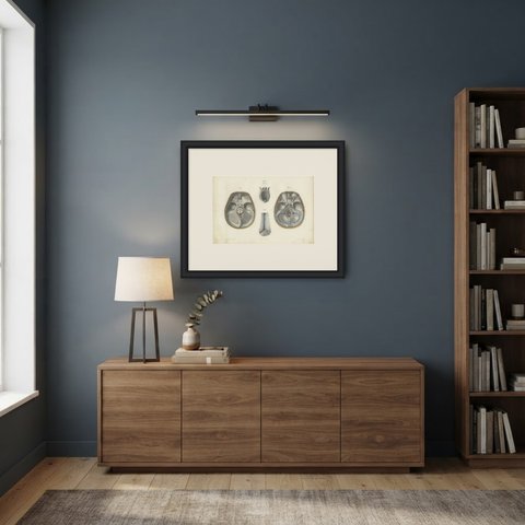The Base of the Skull and Its Dural Folds, Hirschfeld Anatomy Print, 1866, shown framed in a room