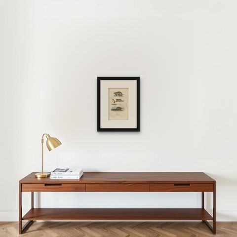 Antique Engraving of Rodents: Hamster, Jerboa, Pocket Gopher, and Beaver - 1825, shown framed on a wall