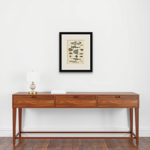 Fishes & Sea Life Print: Shark, Seahorse, Sunfish, Stingray, Antique 1867, shown framed on a wall