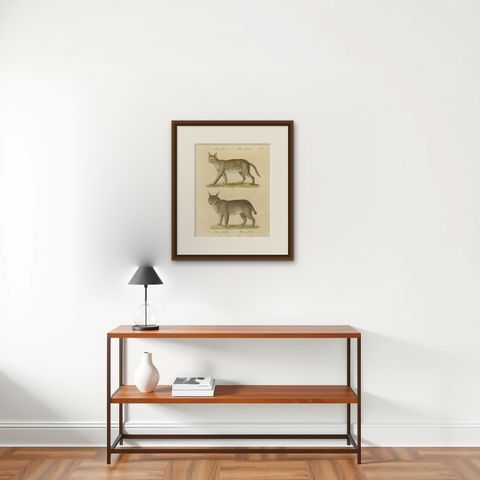 Serval and Eurasian Lynx Natural History Lithograph, Brodtmann, 1816, shown framed on a wall