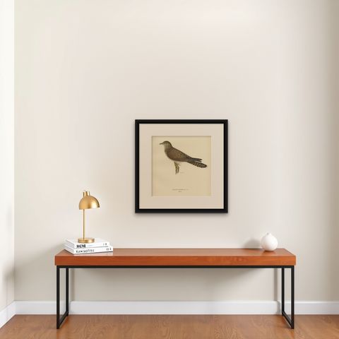 Decorative Antique Print of a Parasite Bird The Female Common Cuckoo, 1927, shown framed on a wall