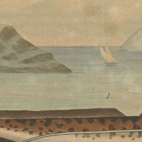 Antique Print of the Chimaera Fish by Guérin, 1833, close-up 1
