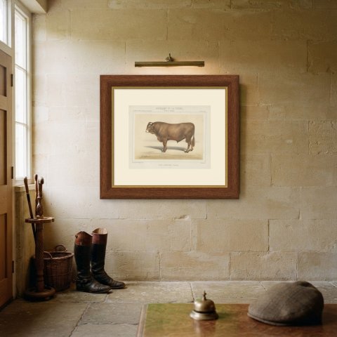 Limousin Bull, French Cattle Breed, Antique Chromolithograph by Borie, 1863, shown framed on a wall