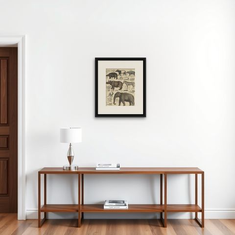 Antique Print of a Tapir, Hippo, Zebra, Elephant & Other Animals by Oken, '1840', shown framed on a wall