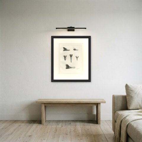Six Studies of Duck and Sawbill Heads and Bills after Lilian Medland, c. 1909, shown framed in a room