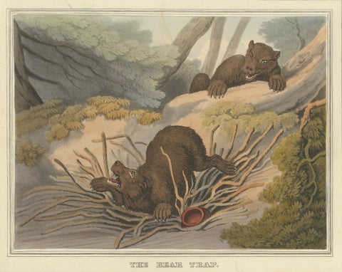 Foreign Field Sports: The Bear Triap Aquatint by Dubourg, Merke & Howitt, 1813, close-up 1