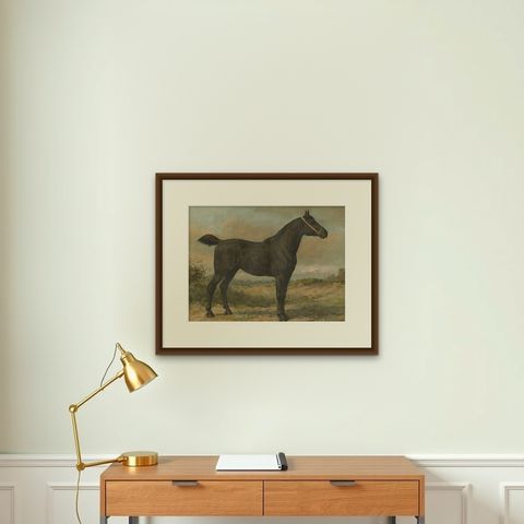 Antique Print of the Irish Horse by O. Eerelman (1898), shown framed on a wall