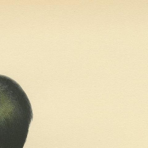 Antique Bird Print of the Common Goldeneye by Von Wright, 1929, close-up 1