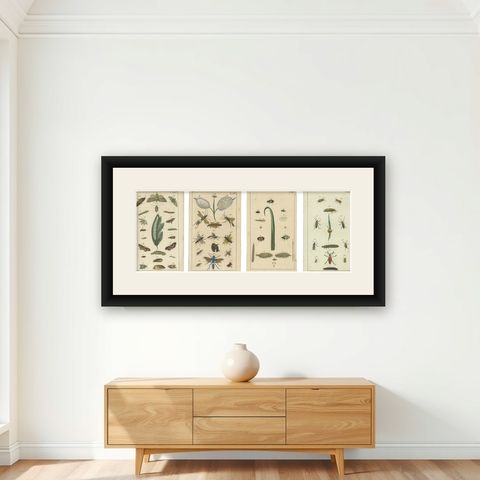 Small and Rare Natural History Prints Featuring Insects and Plants, 1832, shown framed on a wall