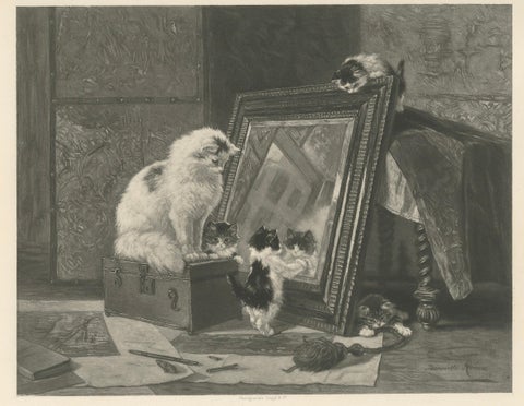 "Curiosity Reflected" - Cats and Kittens by Henriette Ronner (1894), close-up 5