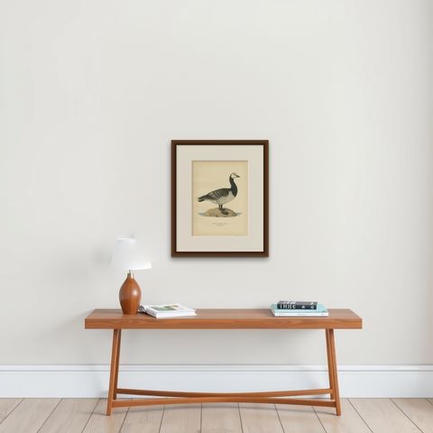 Antique Bird Print of the Barnacle Goose by Von Wright '1929', shown framed on a wall