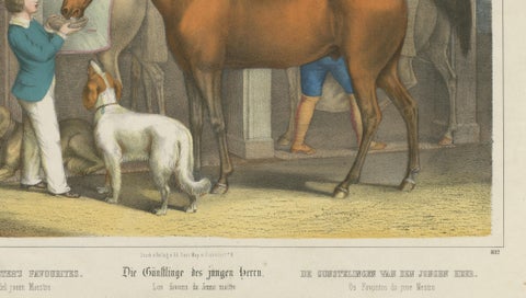 Antique Horse Stable Lithograph - The Young Master’s Favorites, c.1827, close-up 3