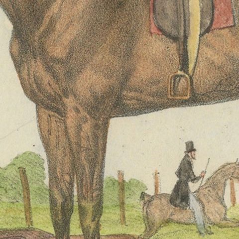 19th Century Hand-Colored Lithograph of Horse "Bergère" from Journal des Haras, close-up 3