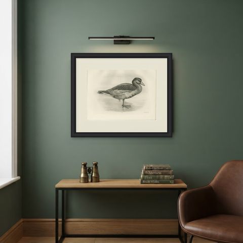 Grey Goose, Antique Bird Print after Lilian Medland, circa 1909, shown framed on a wall